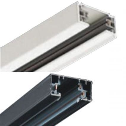 Ray 1M