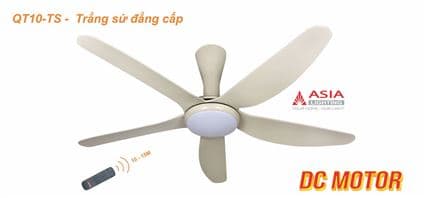 Quạt trần cao cấp QT10-DC-M