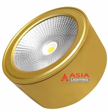 Âm trần vuông thân trắng - Chóa trắng 10W 1