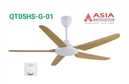Quạt trần hộp số cao cấp QT05HS-G-01 - Gỗ phong cách