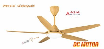 Quạt trần đèn cao cấp 05 cánh - QT09 - Điều khiển từ xa - DC Motor