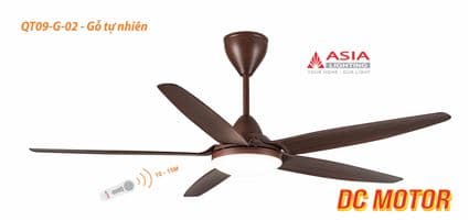 Quạt trần cao cấp QT09-G-02 - Gỗ tự nhiên