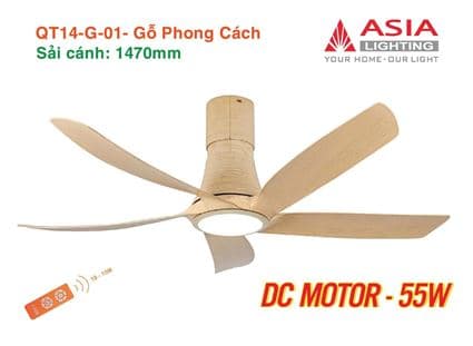 Quạt trần đèn cao cấp 05 cánh - QT14 - DC Motor