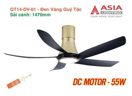 Quạt trần đèn cao cấp 05 cánh QT14 - Trắng bạc cao sang 4