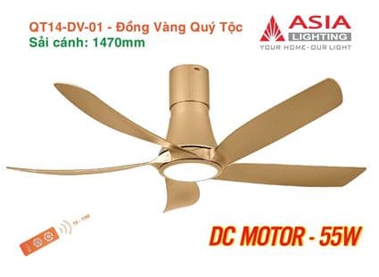 Quạt trần đèn cao cấp 05 cánh QT14 - Trắng bạc cao sang 5