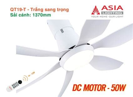 Quạt trần đèn cao cấp 6 cánh - sải cánh 1370 - QT19-T-01 - Trắng sang trọng