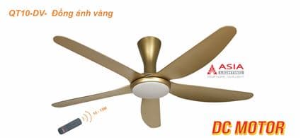 Quạt trần trần đèn cao cấp 05 cánh - QT10 - DC Motor